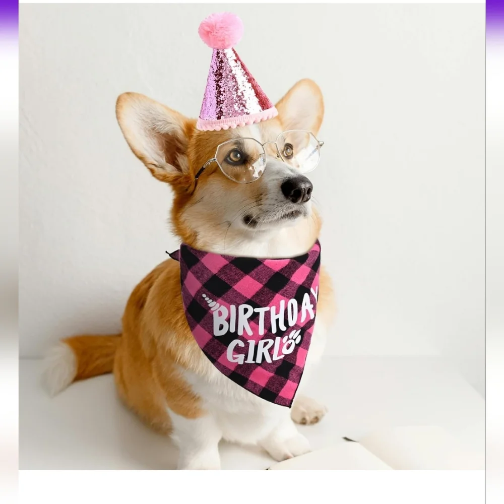 Dog Birthday Party Supplies (X-Large Pink)  Bandana, Bow NWT